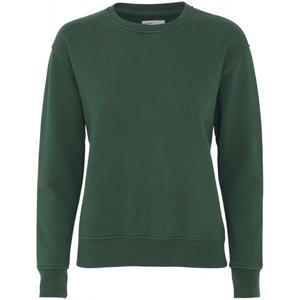 cs2052-emeraldgreen-maglione-girocollo-da-donna-colorful-standard-classic-organic-emerald-green-verde-smeraldo