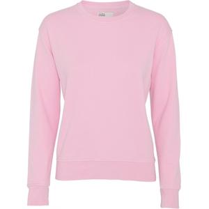 cs2052-flamingopink-maglione-girocollo-da-donna-colorful-standard-classic-organic-flamingo-pink-rosa-fenicottero