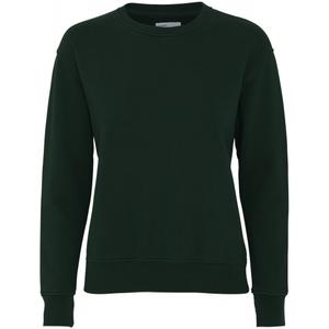 cs2052-huntergreen-maglione-girocollo-da-donna-colorful-standard-classic-organic-hunter-green-verde-cacciatore