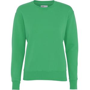 cs2052-kellygreen-maglione-girocollo-da-donna-colorful-standard-classic-organic-kelly-green-verde-kelly