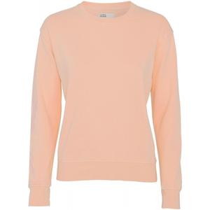 cs2052-paradisepeach-maglione-girocollo-da-donna-colorful-standard-classic-organic-paradise-peach-pesca-del-paradiso