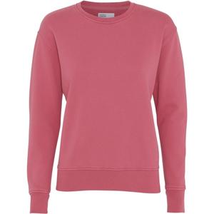 cs2052-raspberrypink-maglione-girocollo-da-donna-colorful-standard-classic-organic-raspberry-pink-rosa-lampone