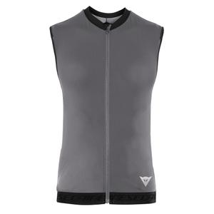 2048700005-49l-gilet-protettivo-dorsale-donna-dainese-flexagon-2-silver-filigree-stretch-limo