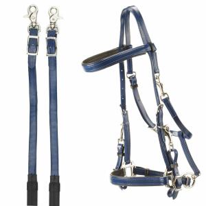 1401425-14-briglie-per-cavalli-da-endurance-in-pvc-daslo-blu-nazionale