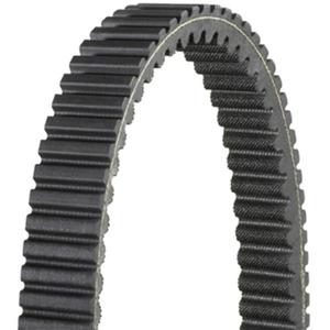1048980-cinghia-di-trasmissione-ad-alta-coppia-dayco-cf-800-terralander-nero-nero-nero-tu