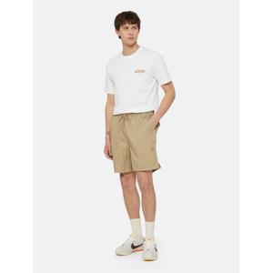 dk0a4xb2ds01-bermuda-dickies-pelican-rapids-sabbia-del-deserto