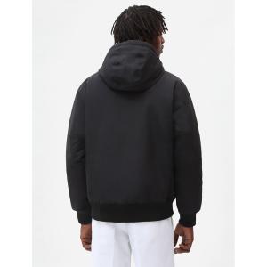 product/d/i/dickies_dk0a4xg8blk1_black_2.jpg