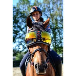 evysor4-occhiali-da-cavallo-equick-evysor-arancia-tu