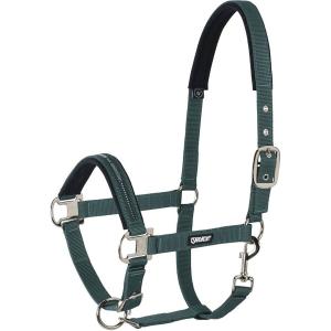 410000-816-590-capezza-cavallo-eskadron-pin-buckle-verde-corsa