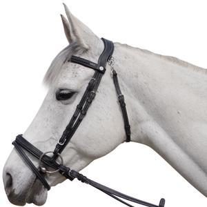 171128-noir-briglie-per-cavalli-flags-cup-aachen-nero