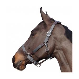 179501-marron-gris-cavezza-in-nylon-pelle-flags-cup-marrone-grigio