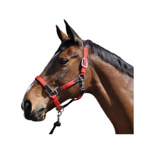 179501-noir-rouge-cavezza-in-nylon-pelle-flags-cup-nero-rosso