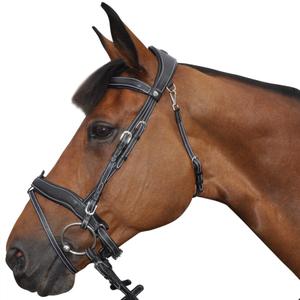 171150-marron-briglie-combinate-per-l-equitazione-flags-cup-comfort-marrone