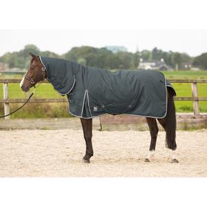 32204714-ebony-coperta-esterna-per-cavallo-con-copricollo-harry-s-horse-thor-200-g-ebano
