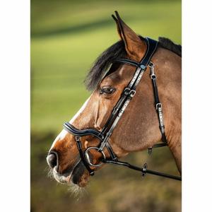 hfi016bk-briglie-da-equitazione-hfi-techno-nero