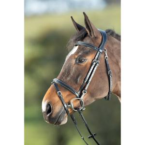 hfi003bk-briglie-da-equitazione-hfi-functional-nero