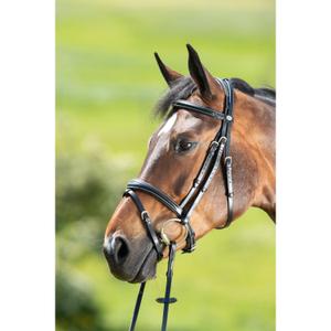 hfi013bk-briglie-da-equitazione-hfi-technical-nero