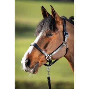 hfi1631bkco-cavezza-in-cuoio-per-cavalli-hfi-two-tone-nero-cognac