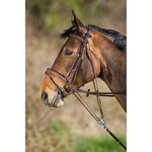sam323br-gogue-per-cavalli-hfi-marrone