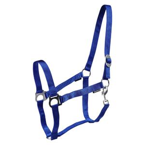 180185-55-cavezze-per-cavalli-horka-drew-blu-reale