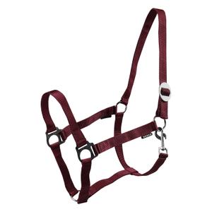 180185-9-cavezze-per-cavalli-horka-drew-bordeaux