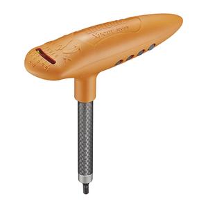 361410-chiave-dinamometrica-icetoolz-marrone-argento