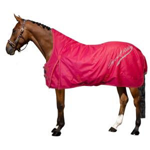 de50314002-3000-coperta-da-esterno-per-cavalli-imperial-riding-super-dry-200-g-rosso