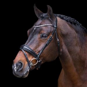 ho40323005-9584-briglie-da-equitazione-imperial-riding-olympia-nero-oro-rosa