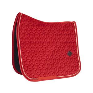 42579-13-dr-cob-sottosella-dressage-kentucky-rosso-cob