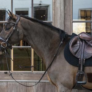 product/k/e/kentucky_42582-01-sj_black_3.jpg