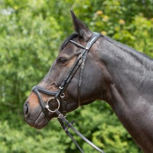 3127-6083-briglia-combinata-da-equitazione-con-nasello-kieffer-ultrasoftr-tara-nero-nero-foderato