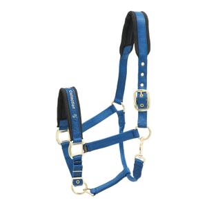 553-1540-testiera-in-nylon-per-cavallo-kieffer-collection-blu
