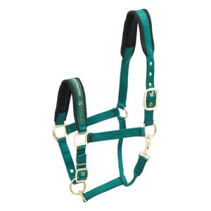 553-1541-testiera-in-nylon-per-cavallo-kieffer-collection-verde