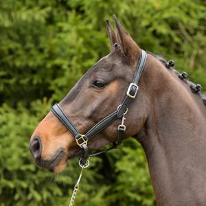 557-5198-testiera-in-cuoio-per-cavallo-kieffer-ultrasoftr-nero-nero-foderato