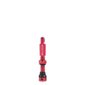 v01-002-40rj-box10u-valvola-per-pneumatici-senza-camera-krayton-x10-rosso