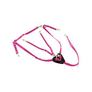 lk3036-pink-collare-da-caccia-per-cavallo-in-biothane-con-martingala-lakota-rosa-tu