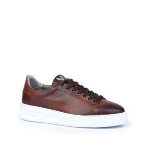 1736-2911l-103-sneakers-martinelli-sullivan-caffe