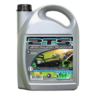 25919-olio-motore-per-moto-minerva-oil-2ts-100-francia-5-l-grigio-5-l