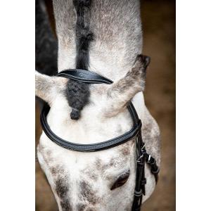63001-4-briglie-da-equitazione-in-pelle-vegana-montar-hunter-eco-nero