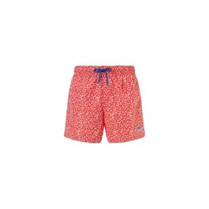673721-c051-short-da-bagno-lunghi-stampati-north-sails-basic-volley-combo-51