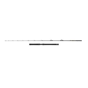 1620466-canna-da-spinning-penn-regiment-iv-halibuster-30-50lb-argento-2-40-m