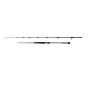 1620472-canna-da-spinning-penn-regiment-iv-pilk-70-300g-argento-2-5-m