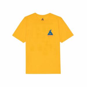 233clm2003-gld-t-shirt-poler-protect-oro
