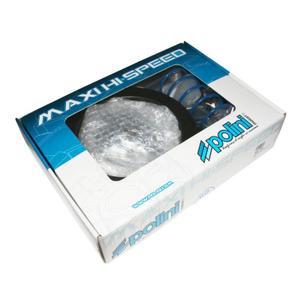 137852-regolatore-di-velocita-ad-alta-velocita-maxiscooter-polini-sym-125-joymax-2015-125-gts-euro-4-argento-tu