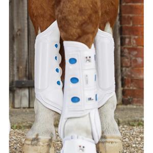 1032hlw-stinchiere-posteriori-per-cavalli-premier-equine-air-cooled-original-eventing-bianco