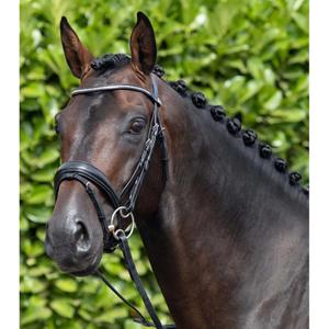 8013-c-8013-xf-briglia-snaffle-combinata-anatomica-premier-equine-stellazzio-nero