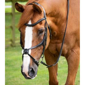 8016-p-8016-xf-briglia-snaffle-premier-equine-glorioso-nero