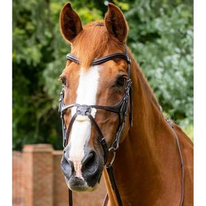 8016-p-8016-xf-briglia-snaffle-premier-equine-glorioso-marrone-scuro