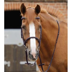 product/p/r/premier-equine_8040-brw_dark-brown_6.jpg