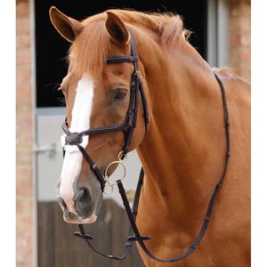 product/p/r/premier-equine_8044-brw_1.jpg